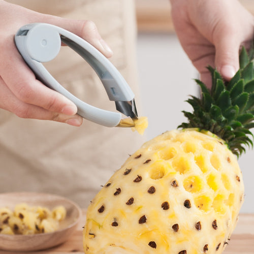 Strawberry Steel Ananas Eye Peeler Obst und Gemüse Praktischer Samenentferner Clip Obstwerkzeuge Küchenhelfer