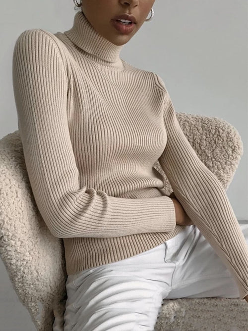 2022 Basic Rollkragen Frauen Pullover Herbst Winter Dicke Warme Pullover Dünne Tops Gerippte Strickpullover Jumper Weiche Pull Weiblich