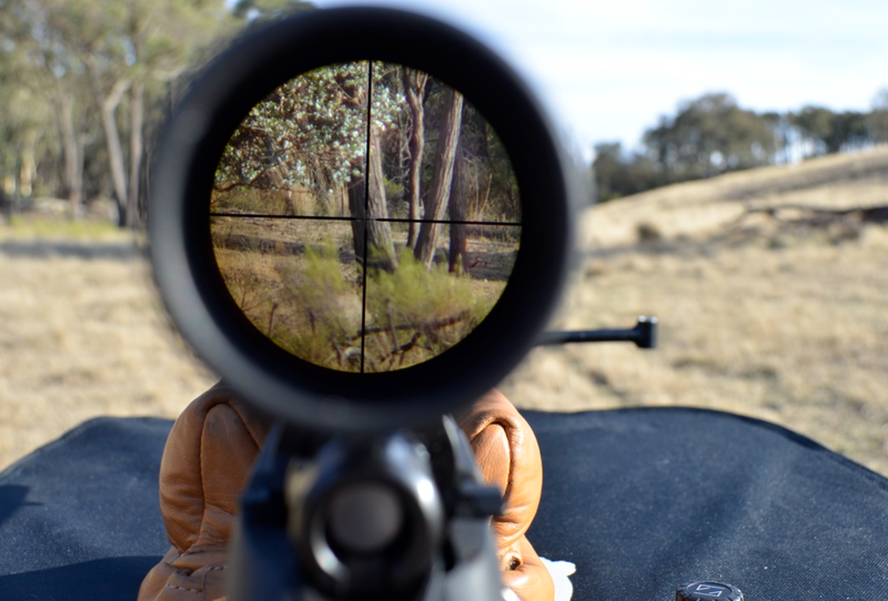 The scope is higher than the muzzle of the gun, why can you point where to shoot — ballistic articles