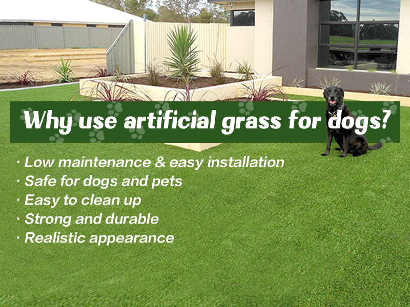 Artificial Grass for Dogs - Practical Buying Tips (6 FAQS)