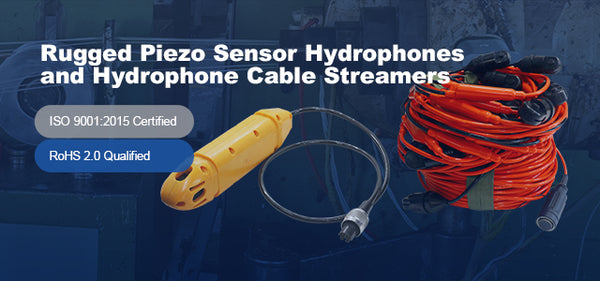 A Deep Dive into Hydrophone Applications