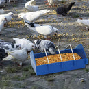 The Landing | Thickened Bird & Pigeon Feeder Trough (20cm/40cm)
