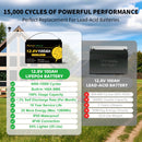 Foursun 12V 100Ah/200Ah/300Ah LiFePO4 Battery with Low-Temp BMS Protection, 4500+ Cycles for Motorhome/Solar/Camping