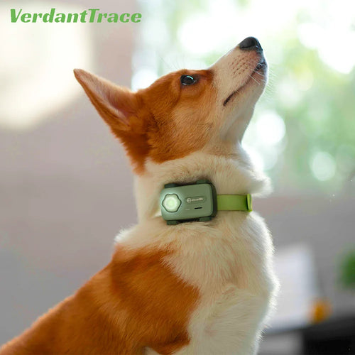 The PetPhone | AI Pet GPS Tracker with Two-Way Call and Geo-Fencing