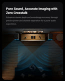 The Monoblock | Fosi Audio V3 Mono TPA3255 Power Amplifier, 240 W
