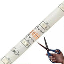 5m Roll Double Sided Led Tape 3528 Cold White To Proof D'agua Home Decoration Modern-IMMEDIATE SHIP TO ALL BRAZIL