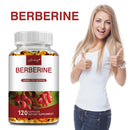 Berberine - Blood Sugar Balance, Supports Cardiovascular and Digestive Health, Antioxidant - 120 Capsules