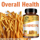 Cordyceps Supplement - Brain Health for Memory and Focus, Relief Stress, Better Mood - 120 Capsules