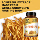 Cordyceps Supplement - Brain Health for Memory and Focus, Relief Stress, Better Mood - 120 Capsules