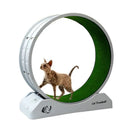 Cat Toys Silent Treadmill Running Wheels Roller Flatbed Pet Fitness Scratcher Board Exercise Cat Climbing Frame Pet Supplies