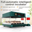 Fully Automatic Smart Home Incubator with Drawer Style, Equipped with Automatic Water Replenishment and Temperature Control