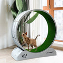 Silent Cat Running Wheel Treadmill Toy with Scratcher Board,Cat  Exercise Roller Frame,Pet Fitness Climbing Toy, 80×35×85cm Gray