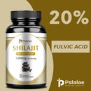 Shilajit 1000mg – Reich an natürlicher Fulvinsäure und Spurenelementen – Verbessert Ausdauer, Konzentration, Gedächtnis und Immungesundheit – 120 Kapseln