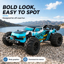 The Dune Sovereign | 1:16 4WD Off-Road RC Buggy with Brushless 80 km/h Option