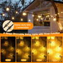 The Horizon Line | 24V Low-Voltage Remote-Controlled Outdoor String Lights
