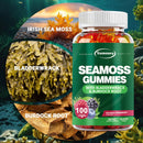 SEAMOSS - Contains Burdock Root and Bladderwrack Seaweed To Enhance Intestinal Health and Immunity - 100 Gummies
