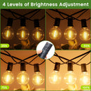 The Horizon Line | 24V Low-Voltage Remote-Controlled Outdoor String Lights