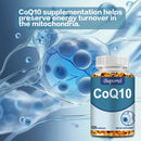CoQ10 Capsules - Promote Cardiovascular and Heart Health, Provide Energy, Circulation Support, Antioxidant - 120 Capsules