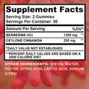 Berberine Gummies - with Ceylon Cinnamon - Immune Support, Metabolism and Gastrointestinal Function - 100 Gummies