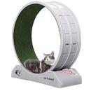 Silent Cat Running Wheel Treadmill Toy with Scratcher Board,Cat  Exercise Roller Frame,Pet Fitness Climbing Toy, 80×35×85cm Gray