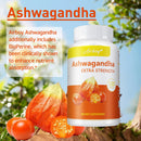 Ashwagandha Supplement - Improving Sleep, Boost Focus & Brain Health, Stress & Mood Relief - 120 Capsules