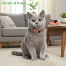4G Pet GPS Tracker Smart Wearable Collar for Dogs Cats Real-Time GPS Wi-Fi Location Tracking IP67 Waterproof  No subscription