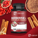 Berberine + Ceylon Cinnamon - Promotes Metabolism, Helps Cardiovascular and Gastrointestinal Health, Antioxidant - 120 Capsules