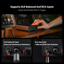 The Monoblock | 240W TPA3255 Mono Power Amplifier with PFFB and Swappable Op-Amps