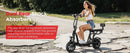 The Cipher | 750W Foldable Electric Commuter Scooter