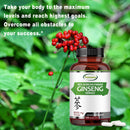 Korean Red Panax Ginseng + Ginkgo Biloba - Increases Energy, Stamina & Performance, Supports Mental Health - 120 Capsules