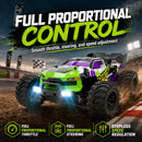 The Dune Sovereign | 1:16 4WD Off-Road RC Buggy with Brushless 80 km/h Option