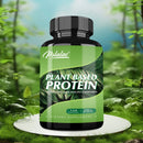 Plant Based Protein Supplement - Promotes Digestion and Intestinal Health, Boosts Immunity, Antioxidant - 120 Capsules