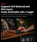 The Monoblock | 240W TPA3255 Mono Power Amplifier with PFFB and Swappable Op-Amps