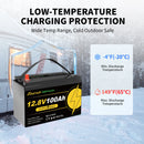 Foursun 12V 100Ah/200Ah/300Ah LiFePO4 Battery with Low-Temp BMS Protection, 4500+ Cycles for Motorhome/Solar/Camping