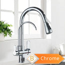 The Twofold Tap | Rozin 2-in-1 Filtered Kitchen Faucet in Antique Brass