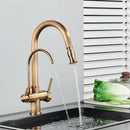 The Twofold Tap | Rozin 2-in-1 Filtered Kitchen Faucet in Antique Brass
