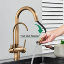 The Twofold Tap | Rozin 2-in-1 Filtered Kitchen Faucet in Antique Brass