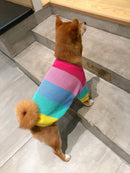 Puppy Rainbow Sweater Knitted Pet Cat Sweater Warm Dog Sweatshirt Dog Winter Clothing Kitten Puppy Sweater