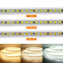 New Arrival 220V LED Strip 4040 High Safety High Brightness 120LEDs/m 13W/m Waterproof Flexible LED Light The Best LED Strip.