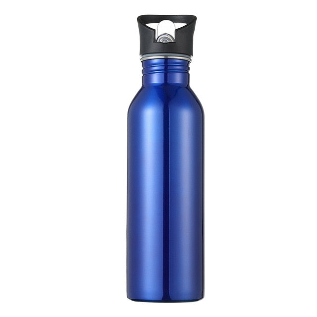 750ml Sports Outdoor Straw Water Bottle 304 Stainless steel Portable Handle Lid Water Bottle With Mountaineering Buckle Kettle