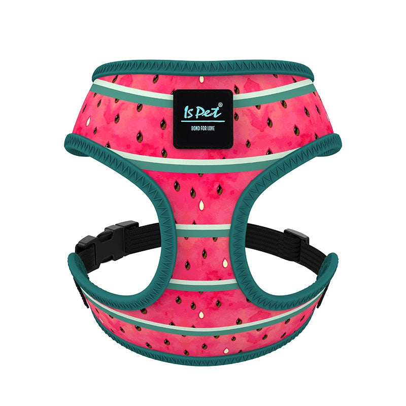 Fashion Dog Harness with Cute Pattern and Bright Color in Breathable Fabric