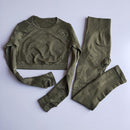 Women Seamless Yoga Sets High Waist Gym Mesh Leggings Shirts Suit Long Sleeve Fitness Workout Sports Running Thin Yoga Sets