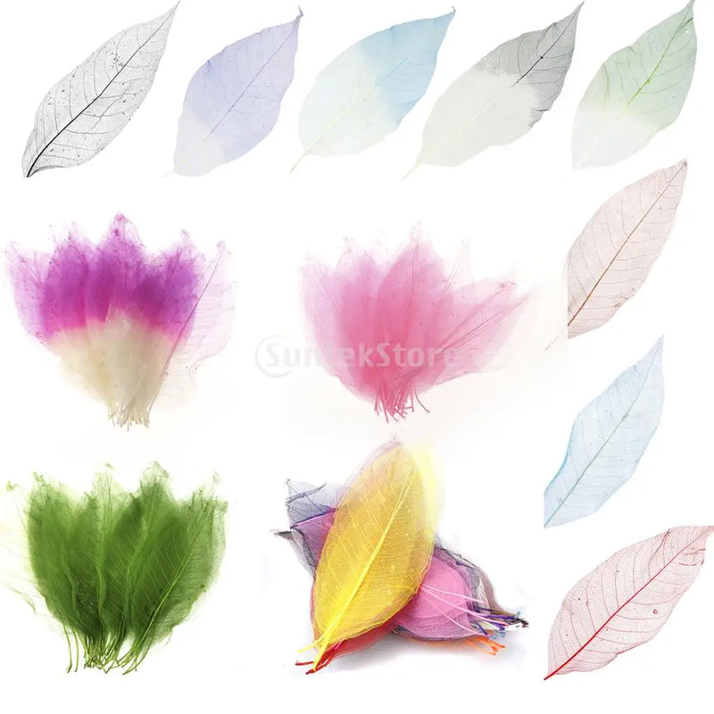 50Pcs Natural Magnolia Skeleton Leaf Leaves Card Scrapbooking Embellishments Multi-Purpose Craft Supplies Gift For friend