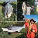 Goture Xceed Spinning Casting Carbon Fishing Rod 3.6M 3.0M 2.7M 2.4M 2.1M 1.98M Light 4 Sections Travel Rods with Portable Bag