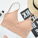 45233823842527|45233823875295|45233823908063