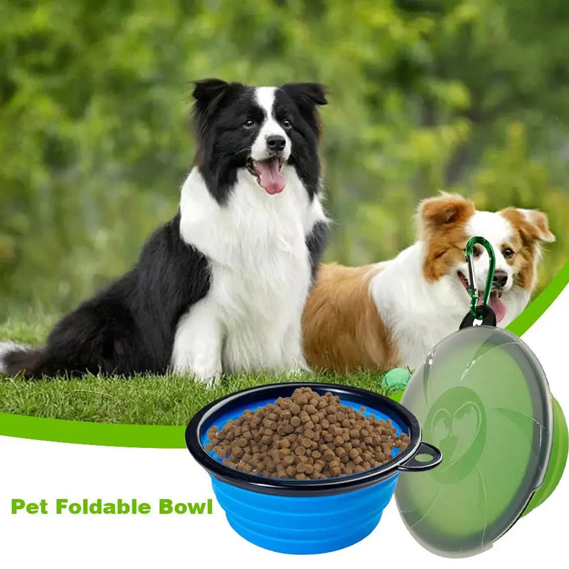 Collapsible Dog Bowls Portable Travel Dog Food Dish Water Bowl with Lid and Carabiner Pet Food Container for Indoor Outdoor