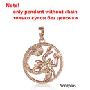 Tierkreiszeichen 12 Konstellation Anhänger Halskette 585 Roségold Farbe Horoskop Halskette Herren Kette Geschenk Modeschmuck GPM21