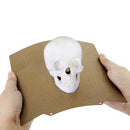 KINGROON 3D Printer Heatbed PEI Spring Steel Sheet 180x180 /235x235 PEI Flexble Magnetic Bed for KP3S Ender 3 CR10 Build Plate