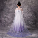 Girl's Princess Frozen Snow Queen Elsa Party Cosplay Costume Dress