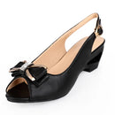 44553815687391|44553815720159|44553815752927|44553815785695|44553815818463|44553815851231|44553815883999|44553815916767